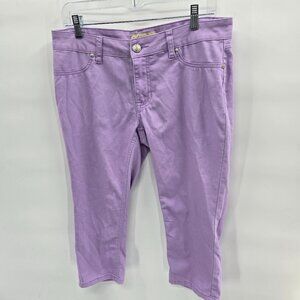 D. Jeans Light Purple Lavender Relaxed Fit Size 10P